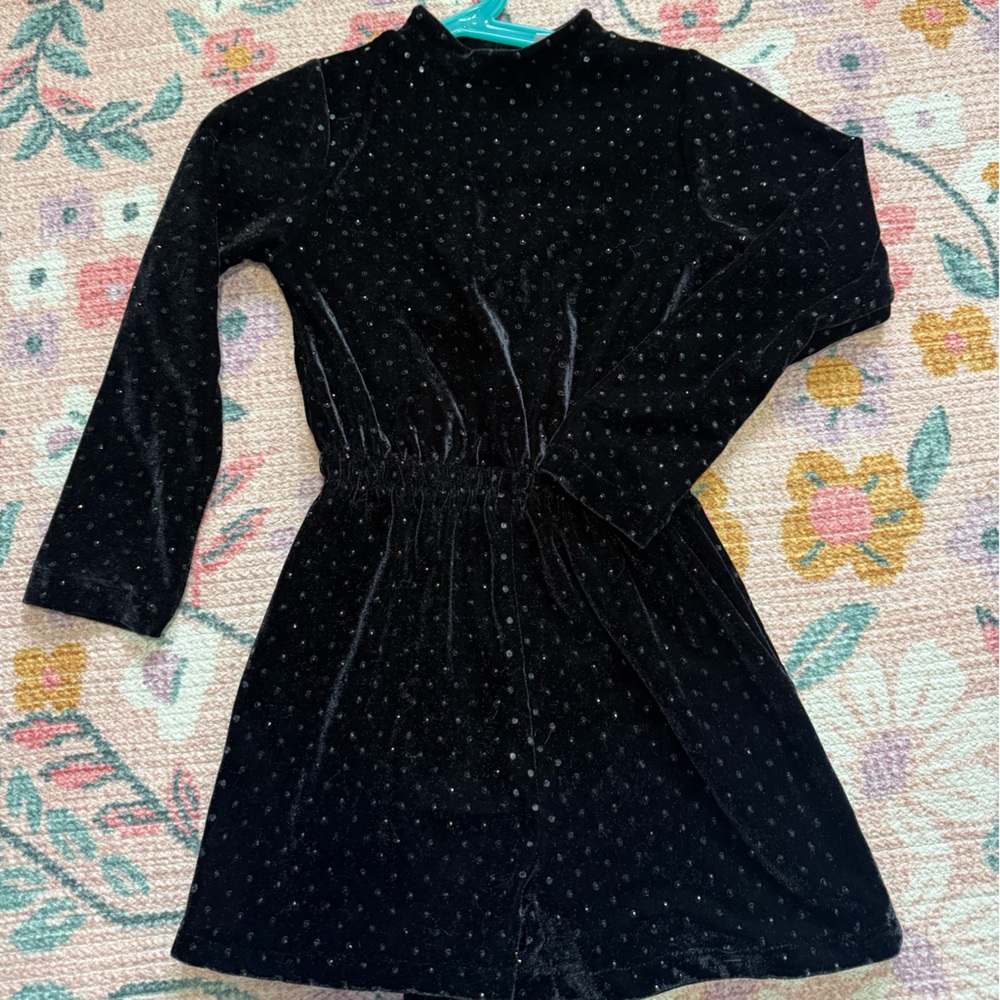 Zara Black Sequin Velvet Dress